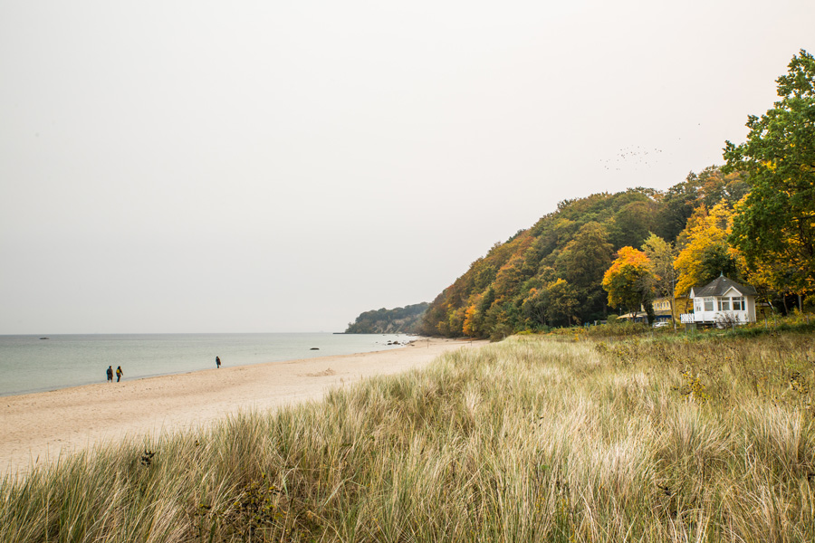 Blick auf die Ostseeküste und den Sandstrand von Rügen